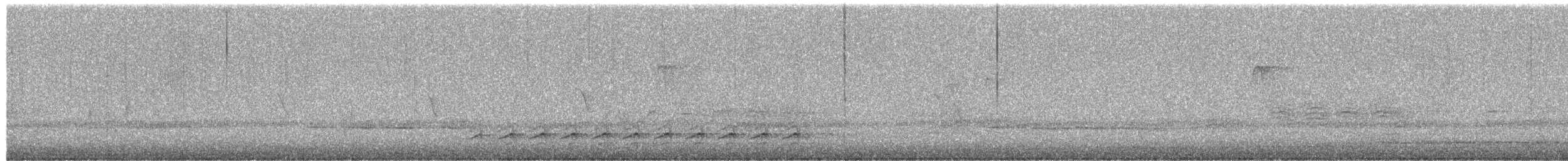 White-breasted Nuthatch - ML652251179