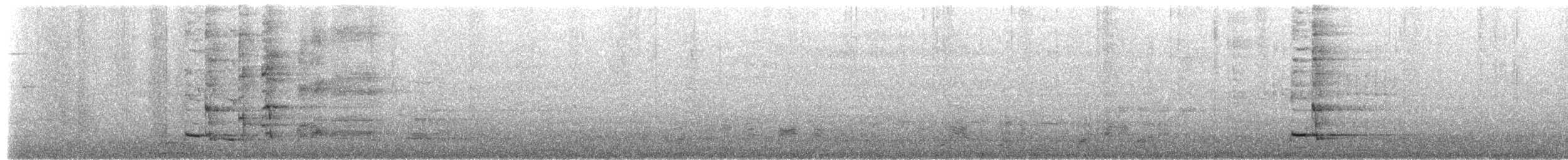 Gray Treepie - ML652252947