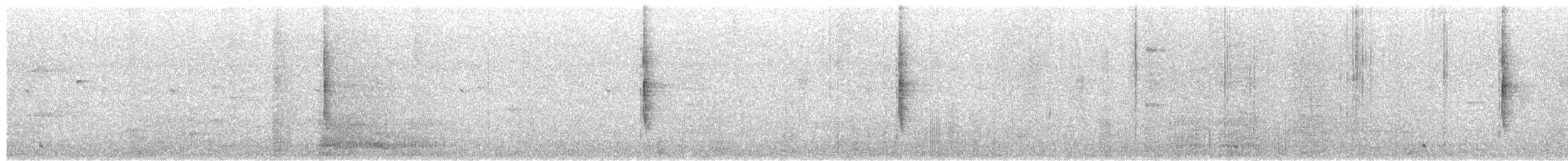 Plain Flowerpecker - ML652253226