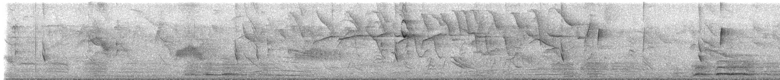 Tangara Negra - ML652255975