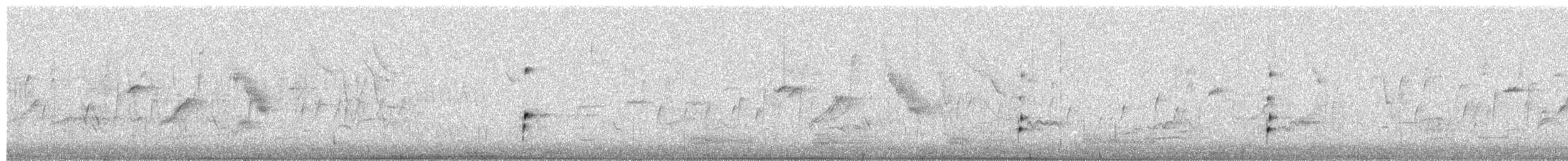 小鸊鷉 - ML652257680