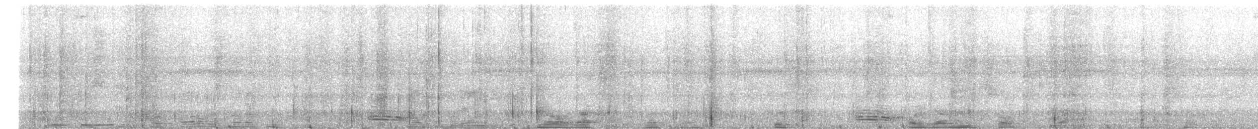 Broad-billed Motmot - ML652257756