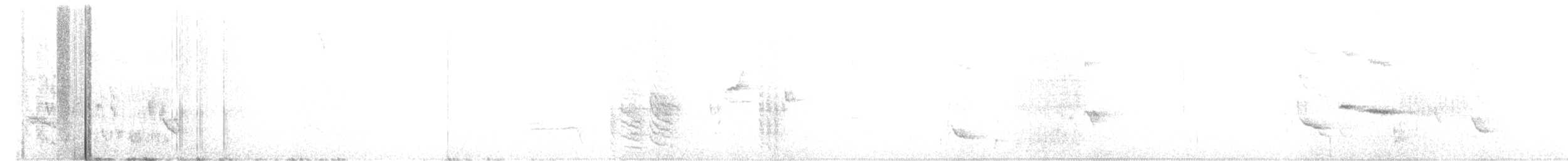 Austral Blackbird - ML652258411