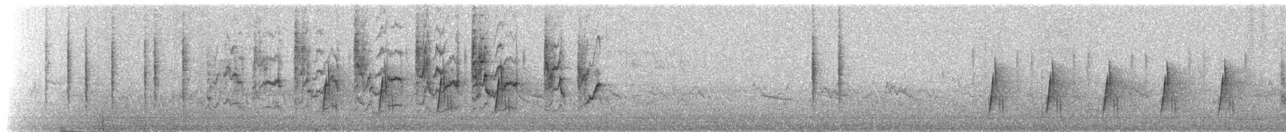 Collared Sunbird - ML652258473