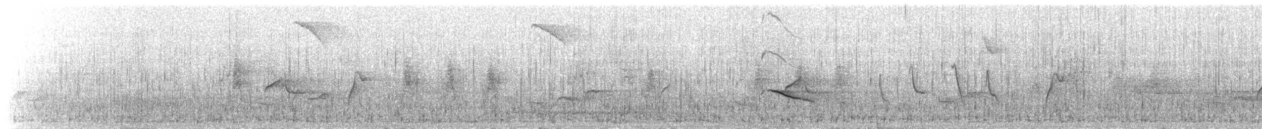 Cape Wagtail - ML652258500