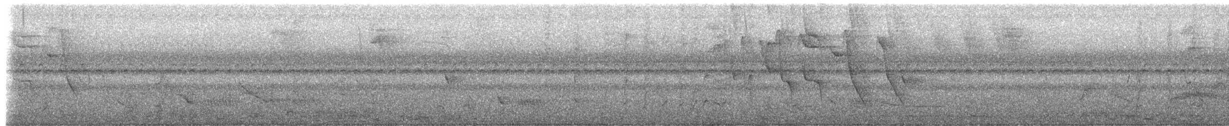 Black-striped Sparrow - ML652258549