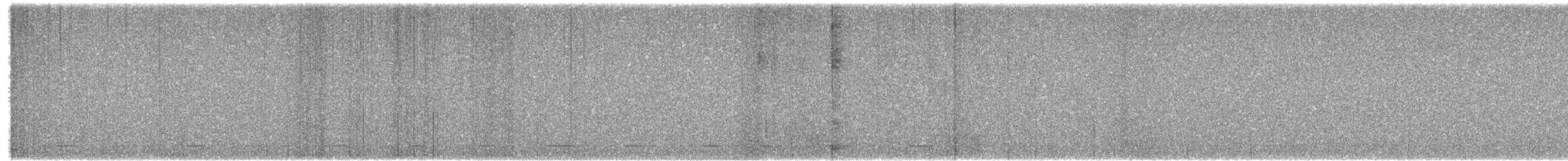 Североамериканский сыч - ML652258931