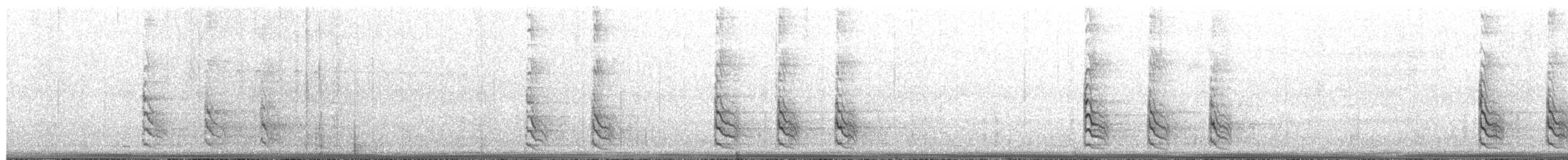 Каролинский дятел - ML652259058