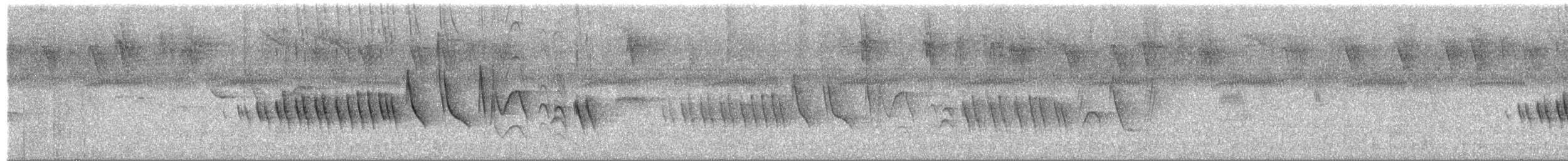 Диадемовый просяночник - ML652260787