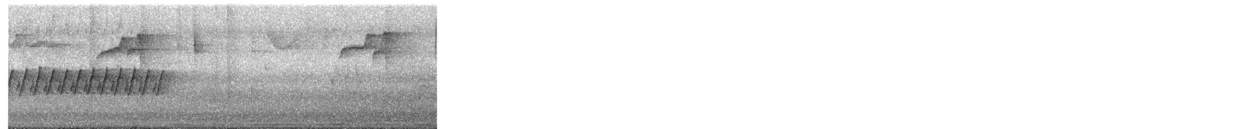 マツアメリカムシクイ - ML652264512