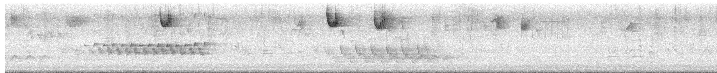マツアメリカムシクイ - ML652264514