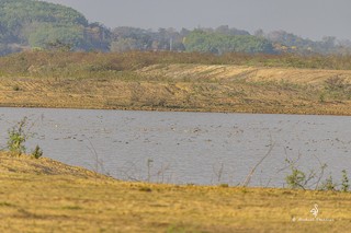 Hellscape Water Pits, Chiang Rai, Thailand - eBird Hotspot