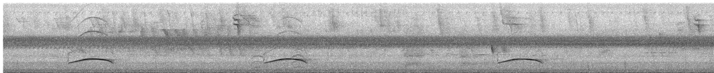 Ochraceous Attila - ML652270820