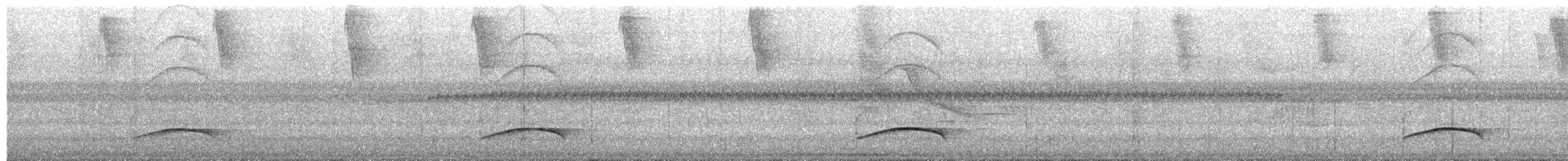 Ochraceous Attila - ML652270821