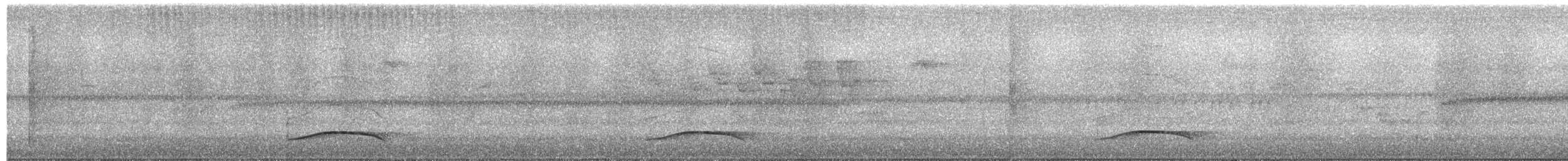 Ochraceous Attila - ML652272940