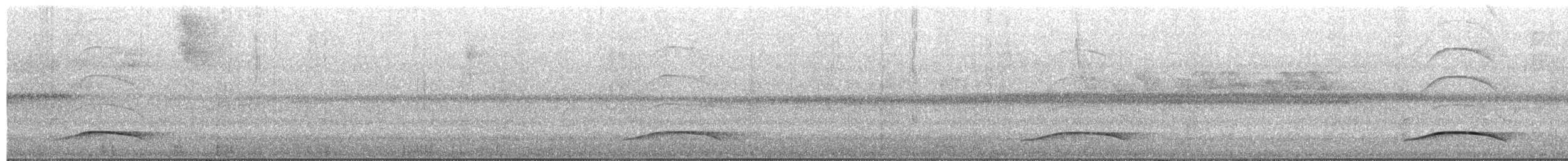 Ochraceous Attila - ML652272942