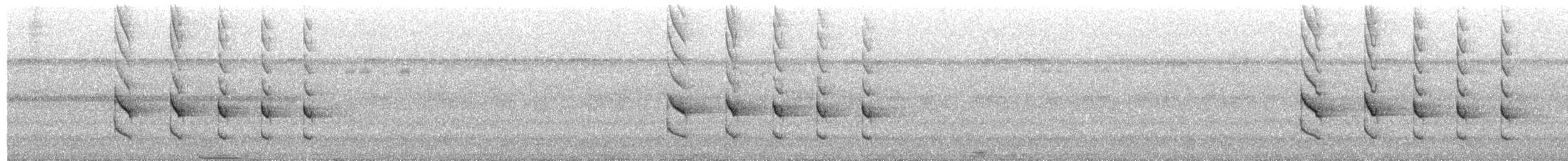 Western Woodhaunter - ML652273453