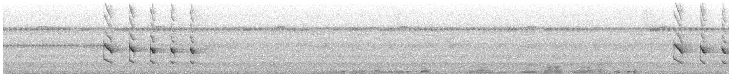 Western Woodhaunter - ML652273454