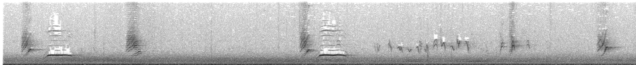 Gambel's Quail - ML652275105