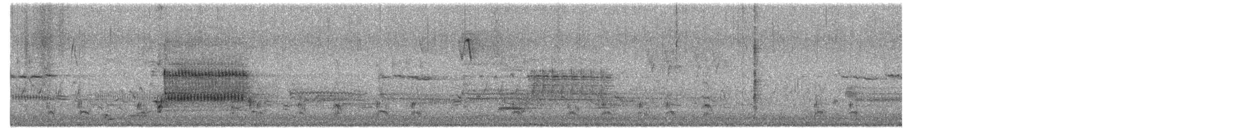 Fuligule à collier - ML652277232