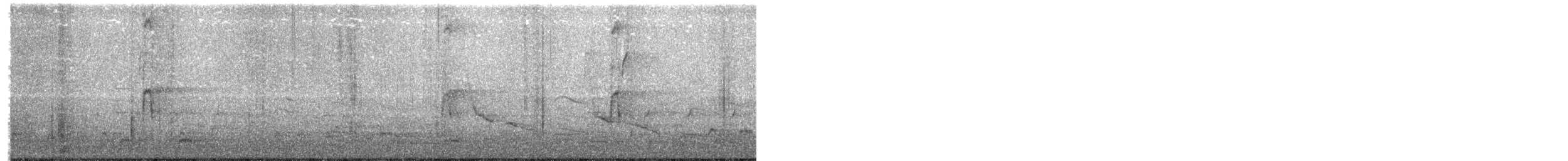 Hairy Woodpecker - ML652288235