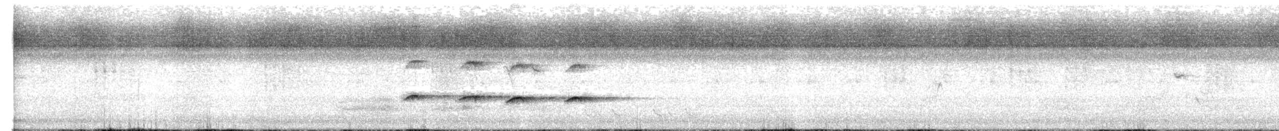 Spangled Drongo - ML652288872