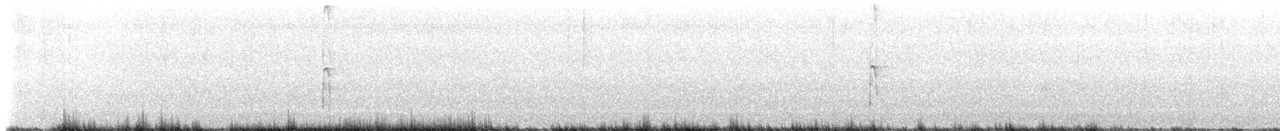 Hairy Woodpecker - ML652291119