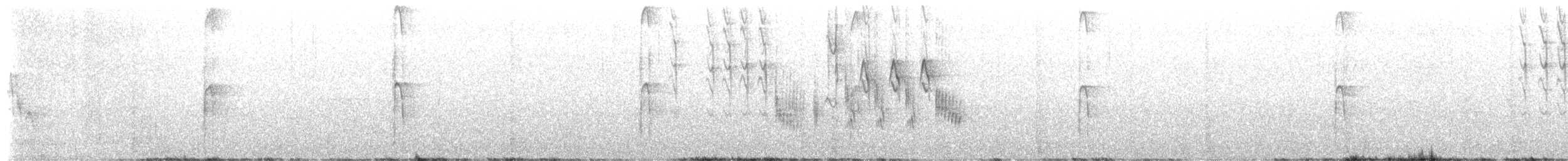 Hairy Woodpecker - ML652291428