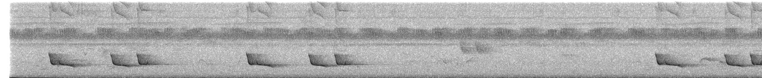 Cuclillo Esmeralda Africano - ML652297255