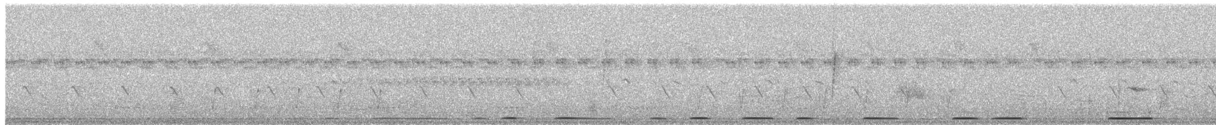 Tourtelette émeraudine - ML652297805