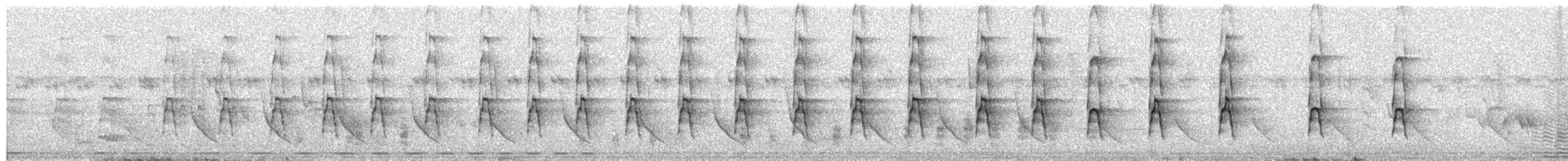 Calao couronné - ML652297811