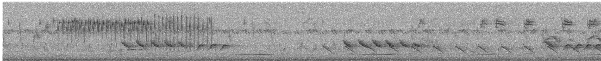 Euplecte de Zanzibar - ML652297861