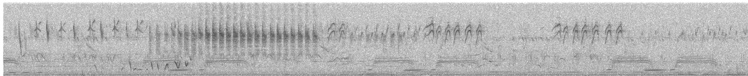 Euplecte de Zanzibar - ML652297862