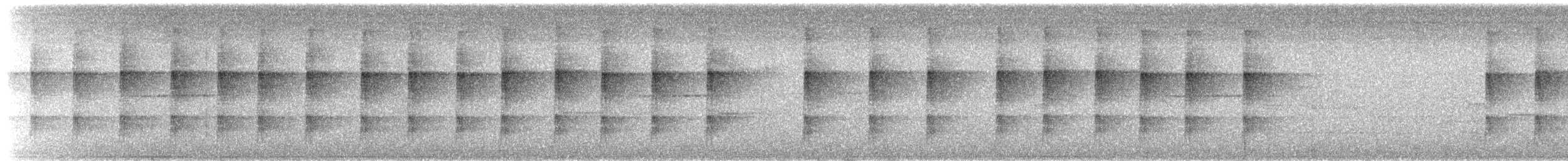 White-eared Sibia - ML652298424