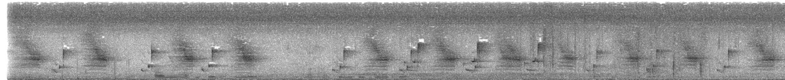 Shining Flycatcher - ML652299046