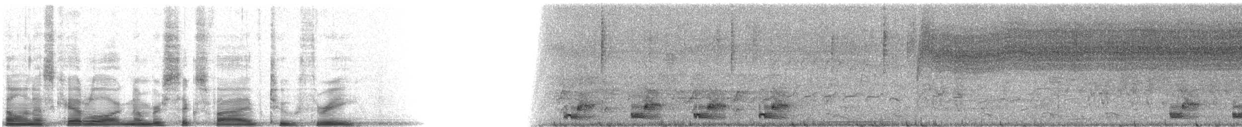 Elegant Trogon - ML6523