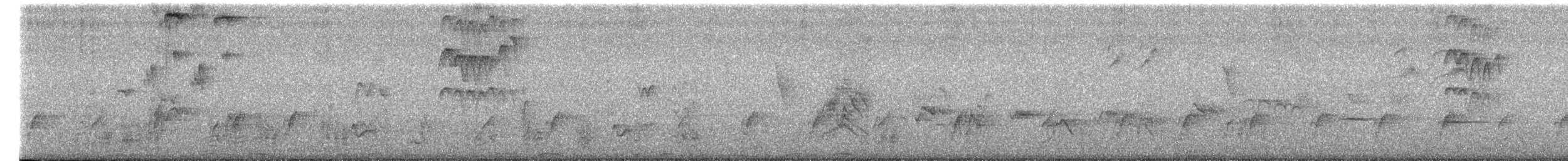 Papamoscas Sudafricano - ML652300181