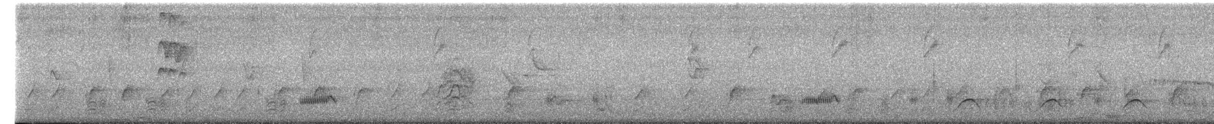 Papamoscas Sudafricano - ML652300182