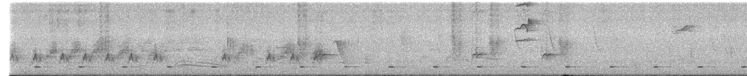 Barbudito Frentigualdo - ML652300195