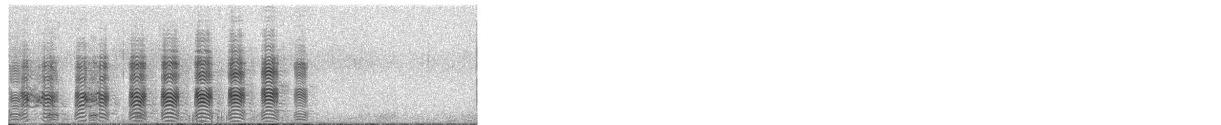 オオトウゾクカモメ - ML652300842