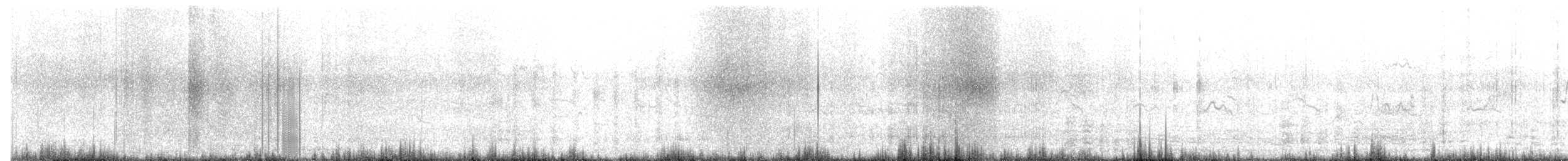 アデリーペンギン - ML652300882