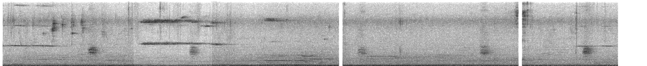 Dschungeldrosselhäherling - ML652301147