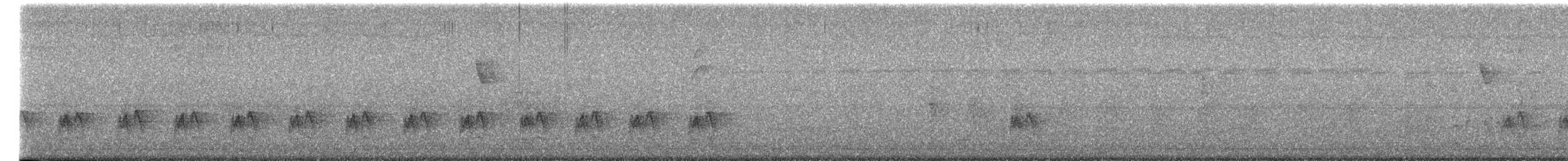 Crombec Piquilargo - ML652301587