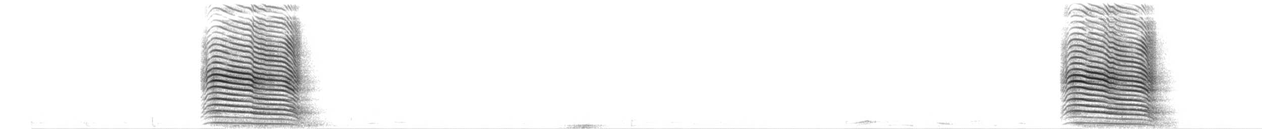 Ibis hagedash - ML652301831