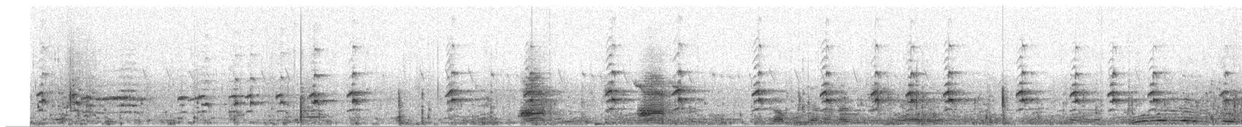 Ombrette africaine - ML652302001