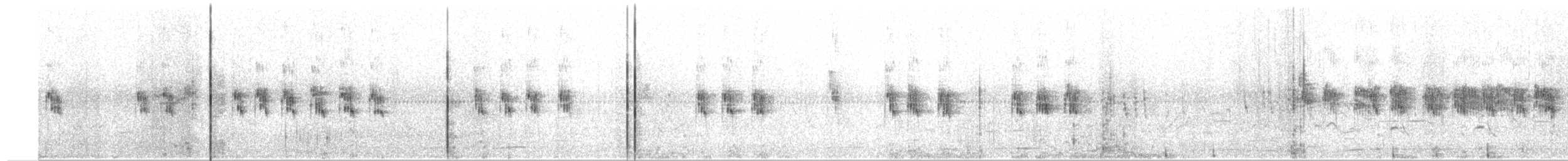 Martin-pêcheur pie - ML652302016