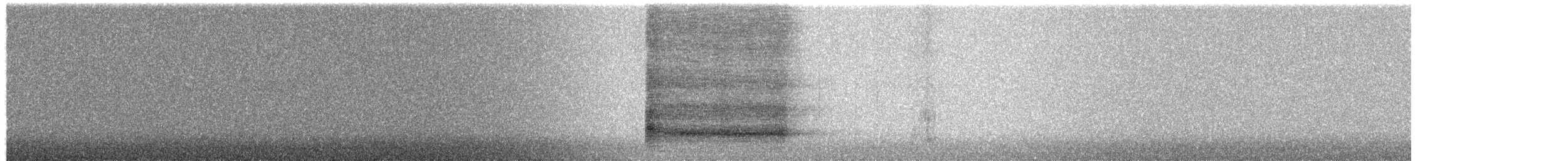 Effraie des clochers - ML652302031