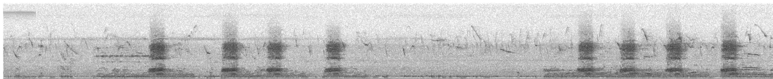 Corbeau pie - ML652302107