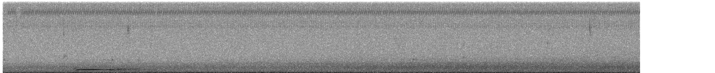 Chouette rayée - ML652302139