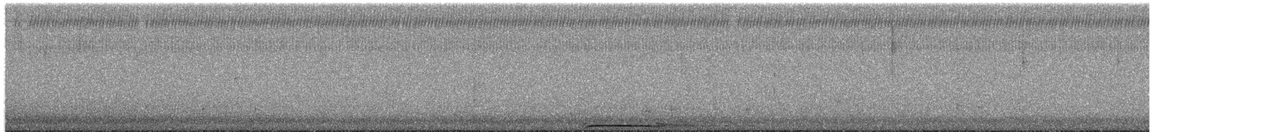 Chouette rayée - ML652302140